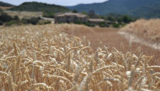 First launched 10 years ago in France, the Harmony scheme provides farmers with a financial incentive to conserve water, protect biodiversity and reduce carbon emissions
